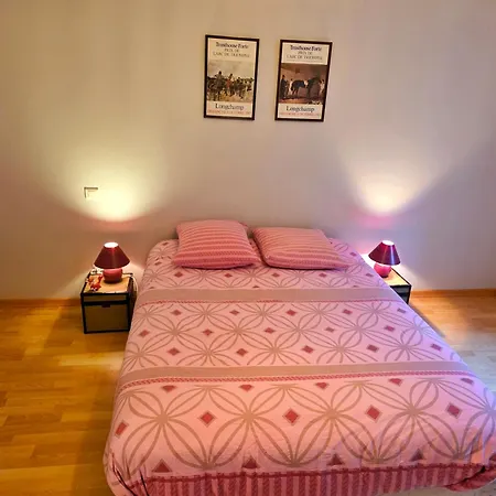 Solovergne - Charme Et Confort En Auvergne Apartament Saint-Nectaire